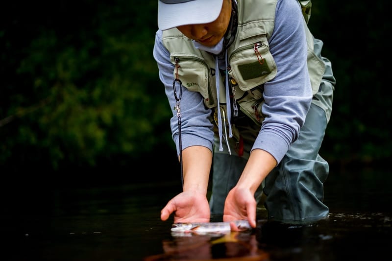In some ways, fly fishing is close to meditation. In handling each life with care and returning it to the river as quickly as possible, y…