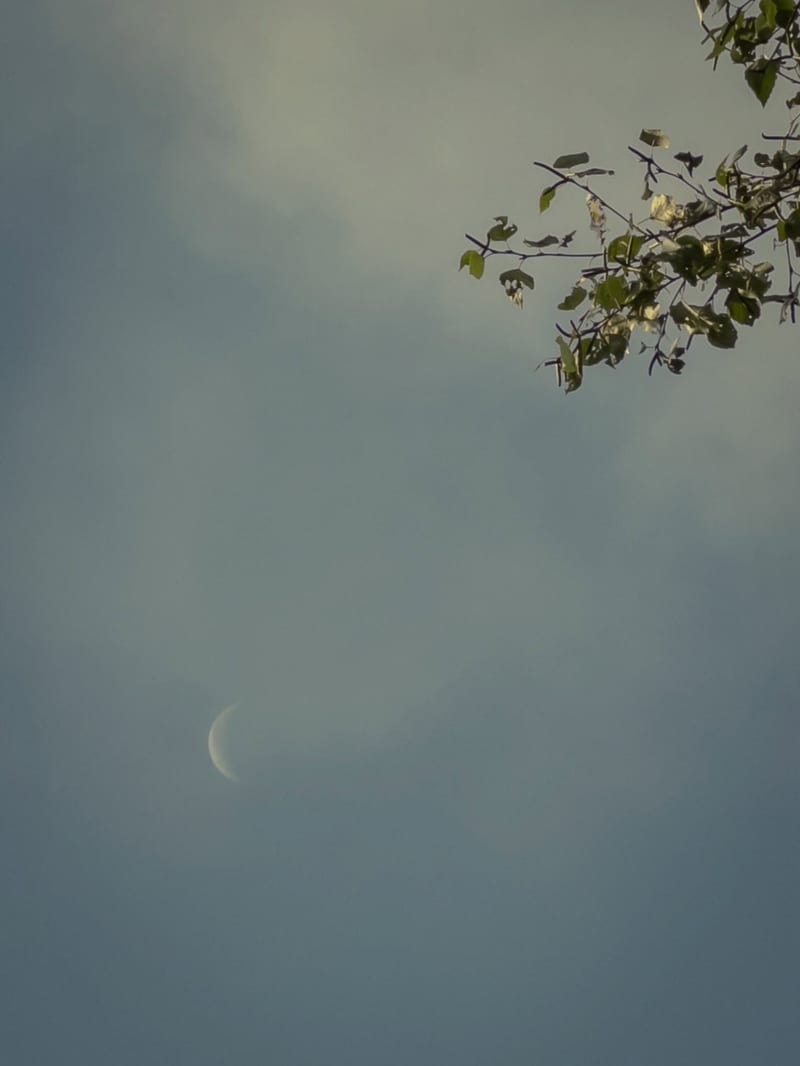 Gazing at the moon hanging in the sky while camping.